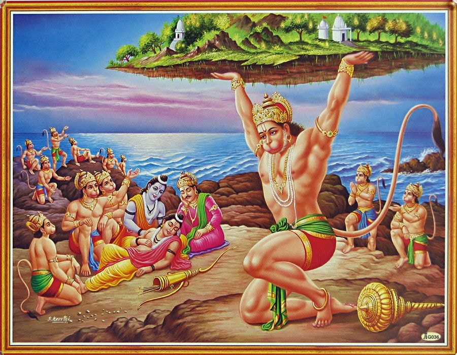 The Search for Sanjeevani